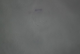 Missing Picture